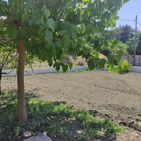 Casa de Férias Anastasia's House *